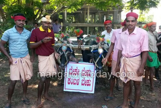 Kambala protes...
